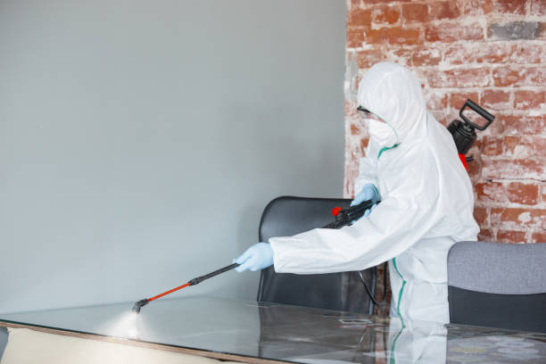 Best Water Damage & Mold Remediation  in Pelham, GA